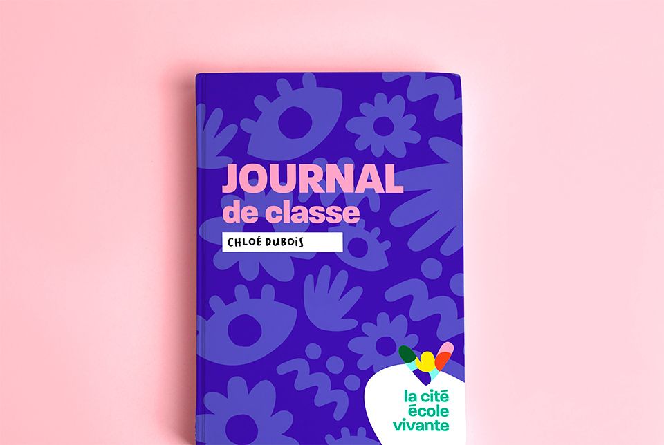 CEV - journal de classe