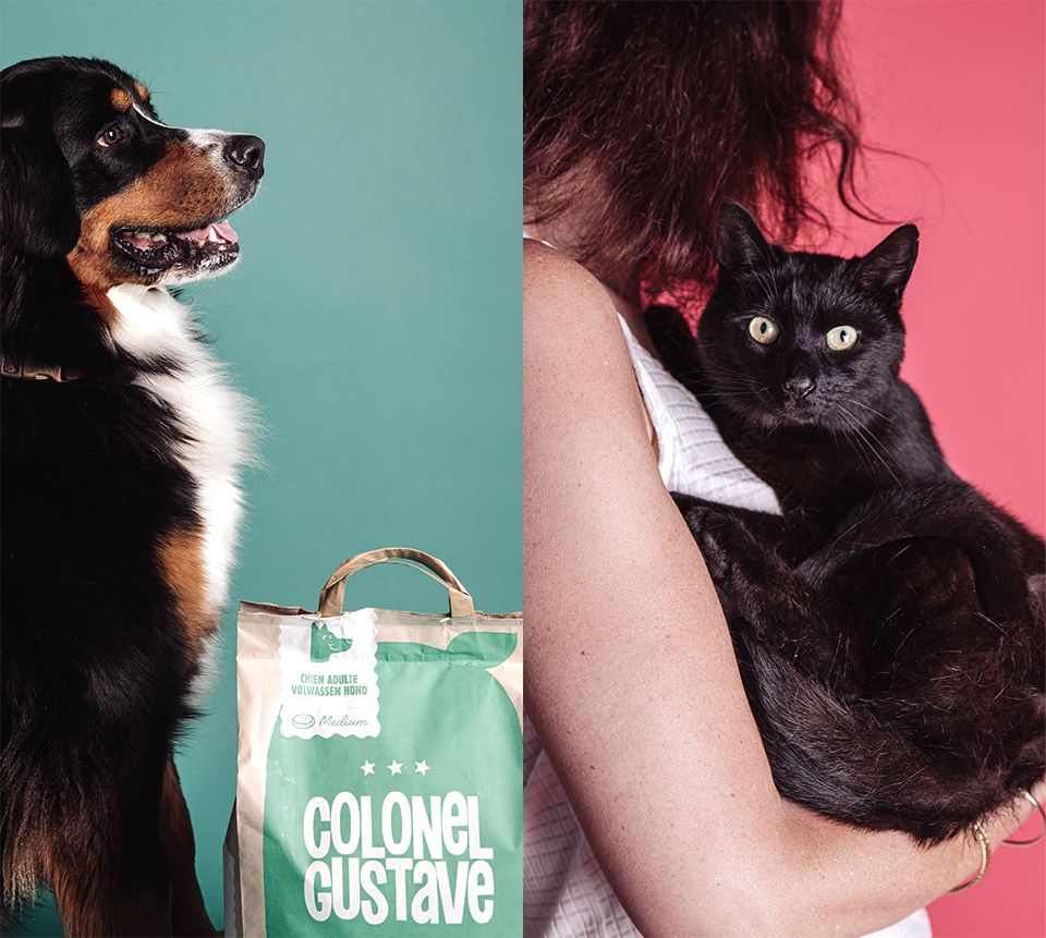 Colonel Gustave - Chats