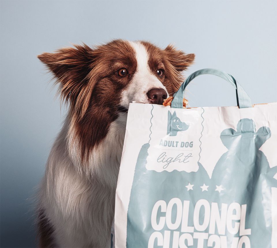 Colonel Gustave - Croquettes Poulet