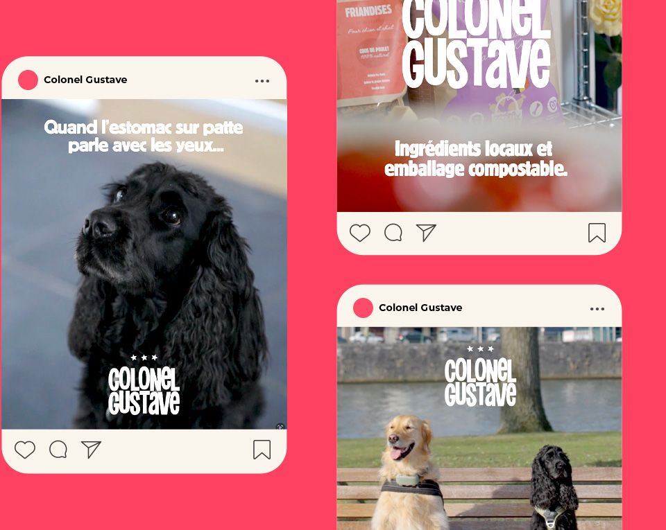 Colonel Gustave - Posts