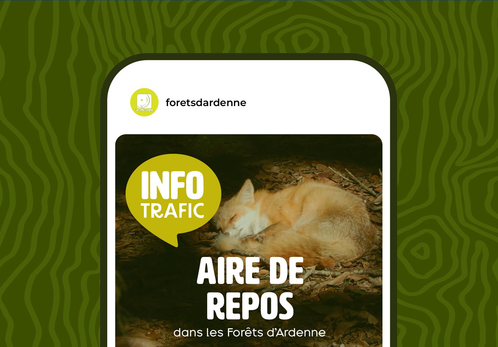 Forêts d'Ardenne thumb